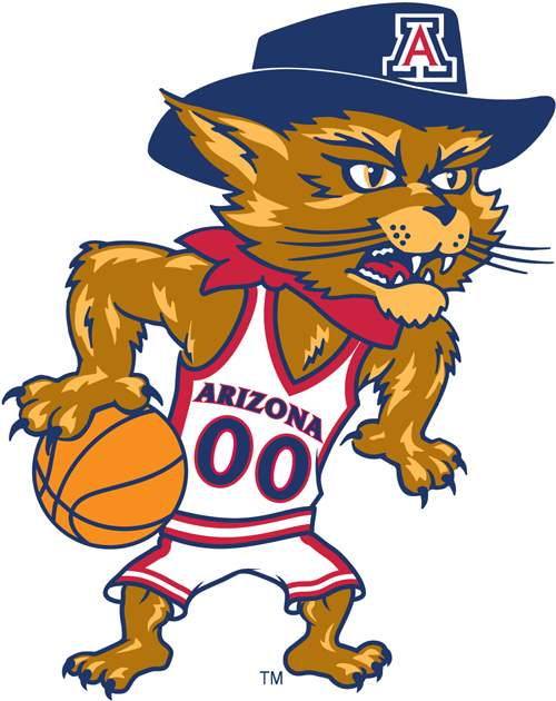 Arizona Wildcats 2003-Pres Mascot Logo v5 iron on transfers for fabric